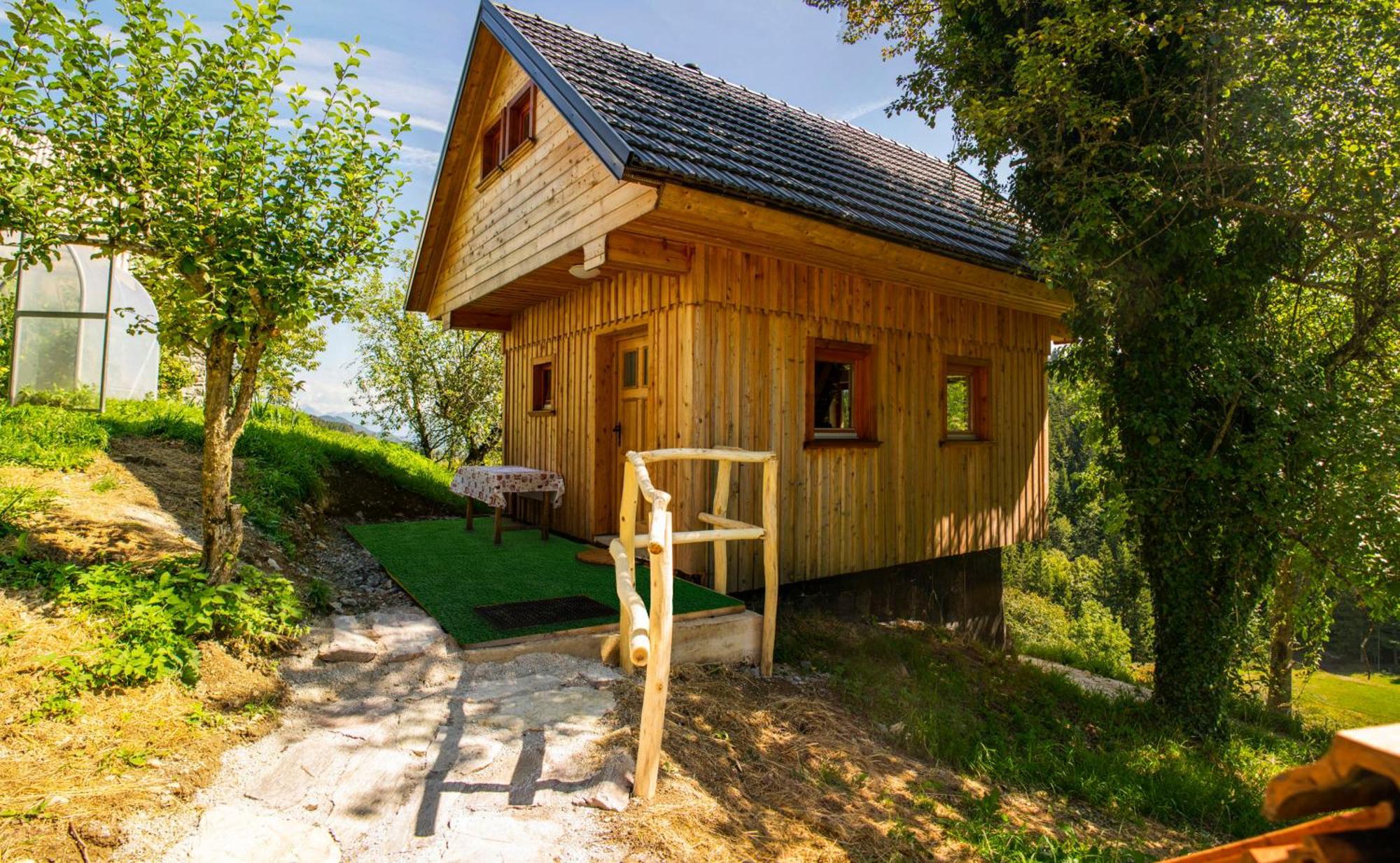 Wooden Chalet - Homestead Vrhovc Zelezniki Exteriér fotografie